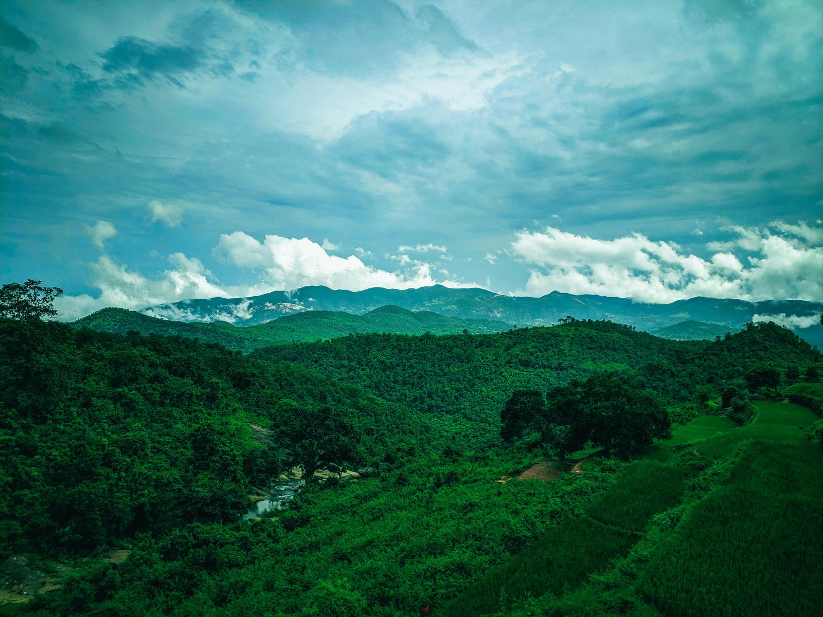 Misty Hills