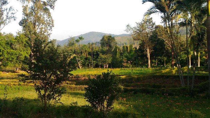 Padmapuram Gardens