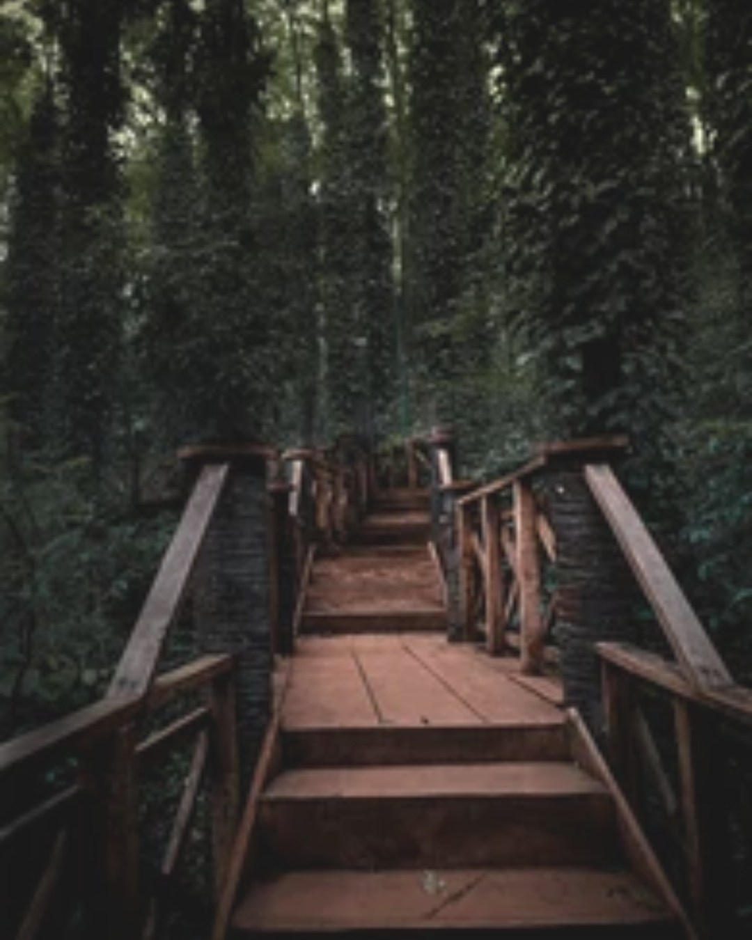 Wooden Bridge